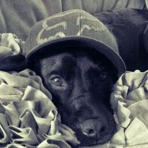 Meet your Posher, Kerry